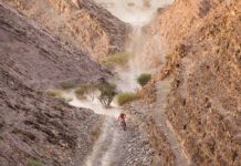 Reli Dakar 2026 Etape 2, Sanders Memimpin Dominasi KTM Dakar 2026 Etape 2