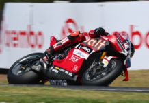 FP WorldSBK 2026 Australia Hari Pertama, Bulega Mendominasi FP WorldSBK 2026 Australia
